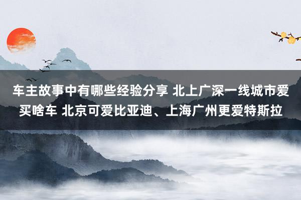 车主故事中有哪些经验分享 北上广深一线城市爱买啥车 北京可爱比亚迪、上海广州更爱特斯拉