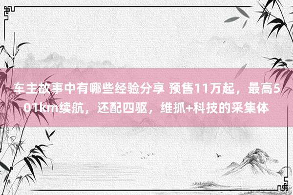 车主故事中有哪些经验分享 预售11万起，最高501km续航，