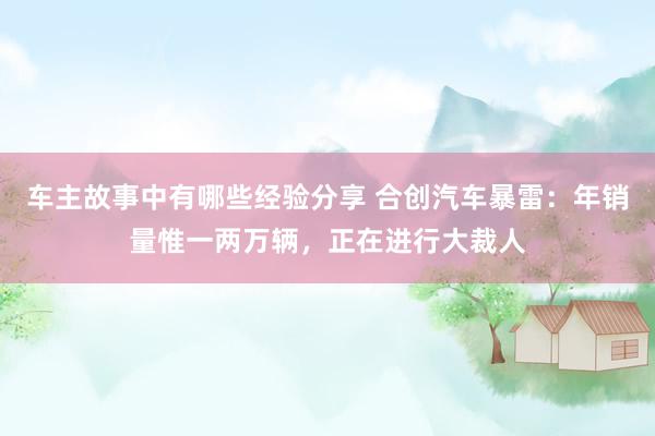 车主故事中有哪些经验分享 合创汽车暴雷：年销量惟一两万辆，正