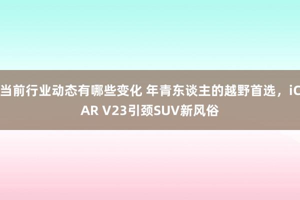 当前行业动态有哪些变化 年青东谈主的越野首选，iCAR V23引颈SUV新风俗