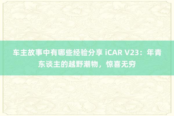 车主故事中有哪些经验分享 iCAR V23：年青东谈主的越野潮物，惊喜无穷