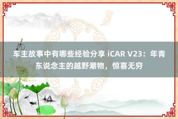 车主故事中有哪些经验分享 iCAR V23：年青东说念主的越野潮物，惊喜无穷