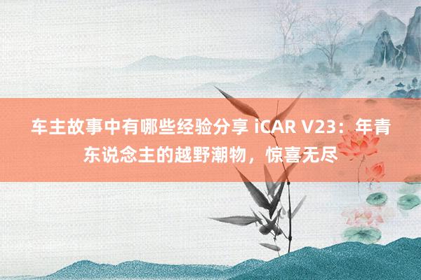 车主故事中有哪些经验分享 iCAR V23：年青东说念主的越野潮物，惊喜无尽