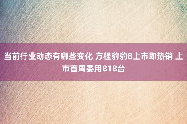 当前行业动态有哪些变化 方程豹豹8上市即热销 上市首周委用818台