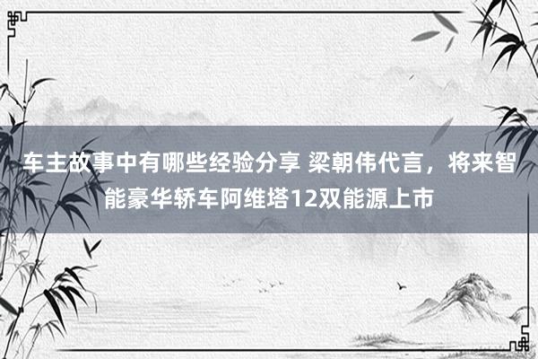 车主故事中有哪些经验分享 梁朝伟代言，将来智能豪华轿车阿维塔12双能源上市