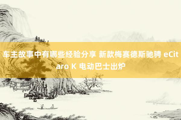 车主故事中有哪些经验分享 新款梅赛德斯驰骋 eCitaro K 电动巴士出炉