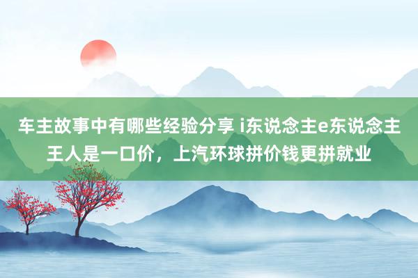 车主故事中有哪些经验分享 i东说念主e东说念主王人是一口价，