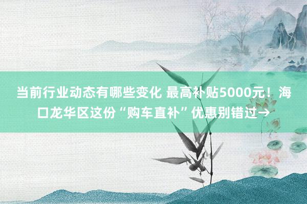 当前行业动态有哪些变化 最高补贴5000元！海口龙华区这份“购车直补”优惠别错过→