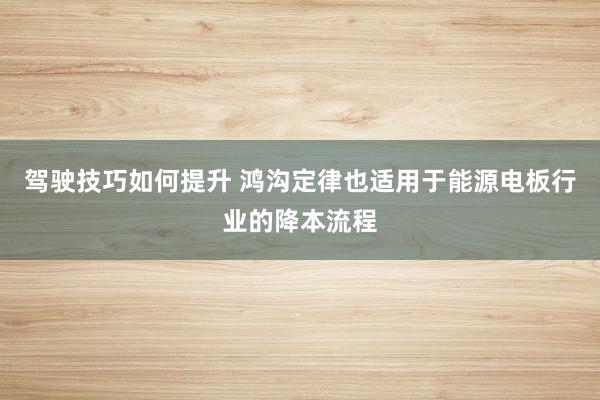 驾驶技巧如何提升 鸿沟定律也适用于能源电板行业的降本流程