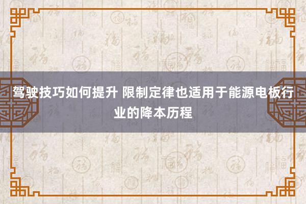 驾驶技巧如何提升 限制定律也适用于能源电板行业的降本历程