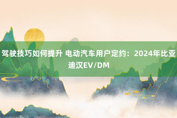 驾驶技巧如何提升 电动汽车用户定约：2024年比亚迪汉EV/DM