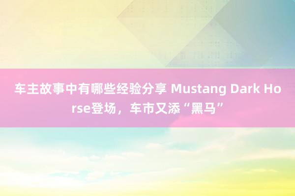 车主故事中有哪些经验分享 Mustang Dark Hors