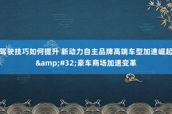 驾驶技巧如何提升 新动力自主品牌高端车型加速崛起&#