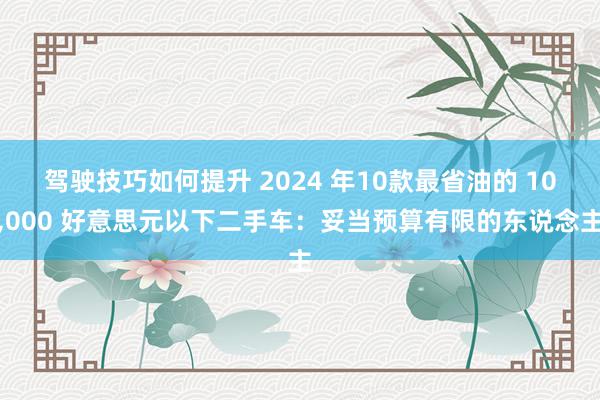 驾驶技巧如何提升 2024 年10款最省油的 10,000 