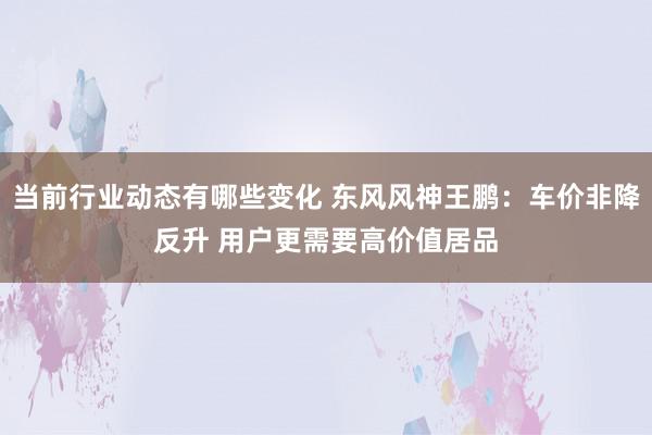 当前行业动态有哪些变化 东风风神王鹏：车价非降反升 用户更需