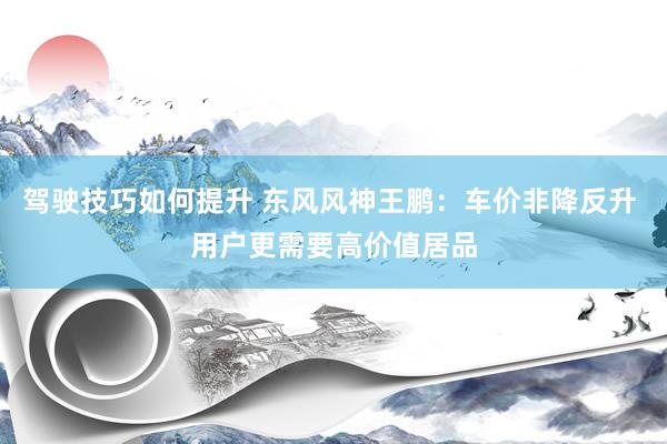 驾驶技巧如何提升 东风风神王鹏：车价非降反升 用户更需要高价