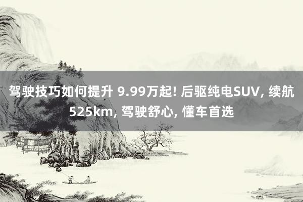 驾驶技巧如何提升 9.99万起! 后驱纯电SUV, 续航525km, 驾驶舒心, 懂车首选