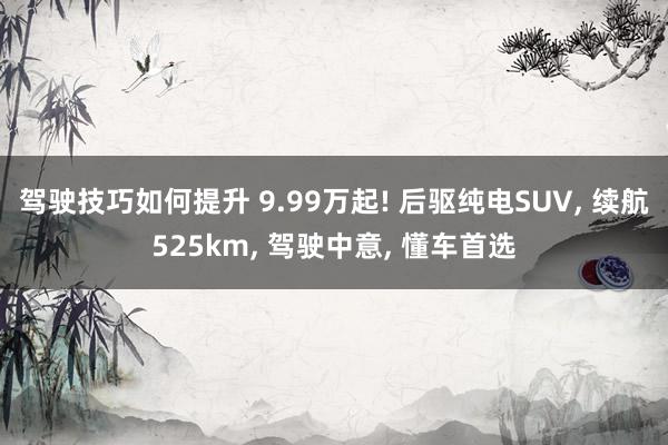 驾驶技巧如何提升 9.99万起! 后驱纯电SUV, 续航525km, 驾驶中意, 懂车首选