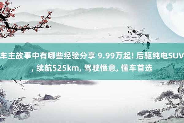 车主故事中有哪些经验分享 9.99万起! 后驱纯电SUV, 续航525km, 驾驶惬意, 懂车首选