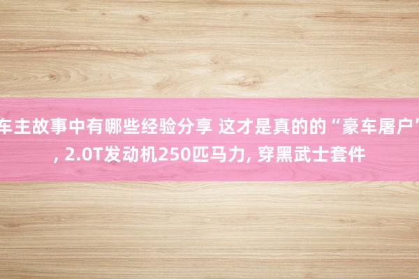 车主故事中有哪些经验分享 这才是真的的“豪车屠户”, 2.0T发动机250匹马力, 穿黑武士套件