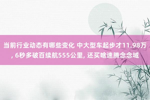 当前行业动态有哪些变化 中大型车起步才11.98万, 6秒多破百续航555公里, 还买啥速腾念念域