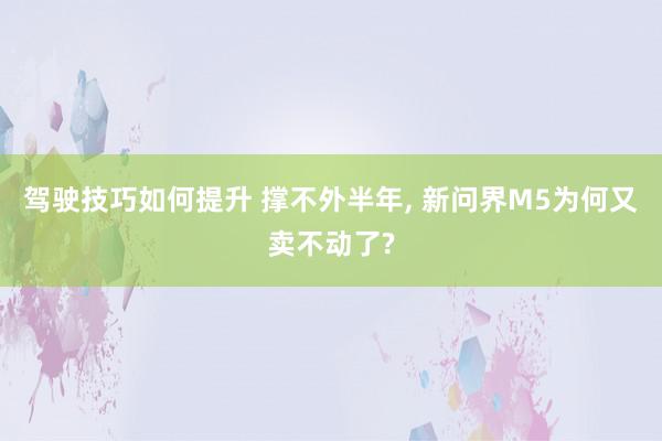 驾驶技巧如何提升 撑不外半年, 新问界M5为何又卖不动了?