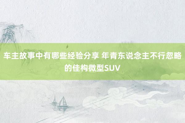 车主故事中有哪些经验分享 年青东说念主不行忽略的佳构微型SUV