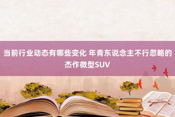 当前行业动态有哪些变化 年青东说念主不行忽略的杰作微型SUV