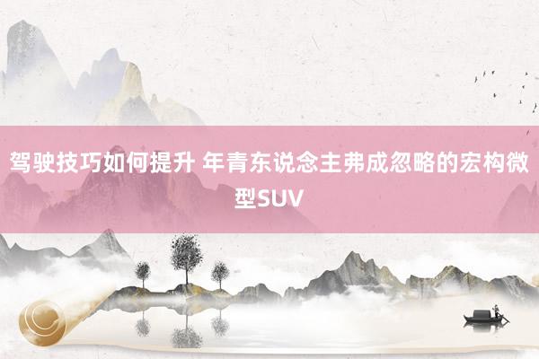 驾驶技巧如何提升 年青东说念主弗成忽略的宏构微型SUV