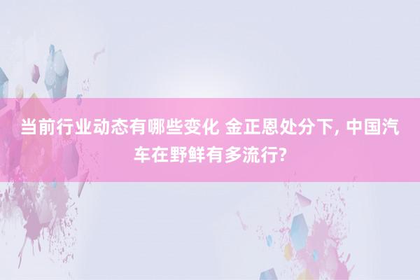 当前行业动态有哪些变化 金正恩处分下, 中国汽车在野鲜有多流行?