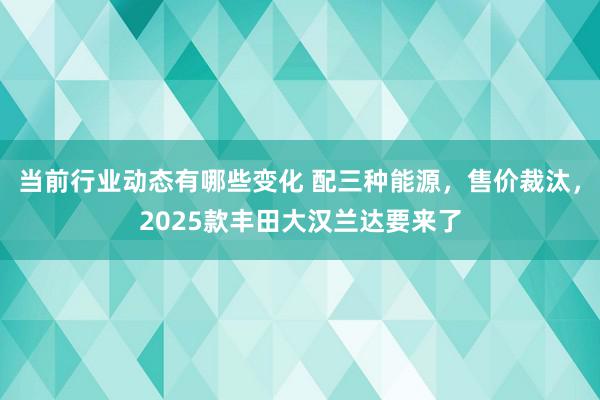 当前行业动态有哪些变化 配三种能源，售价裁汰，2025款丰田大汉兰达要来了