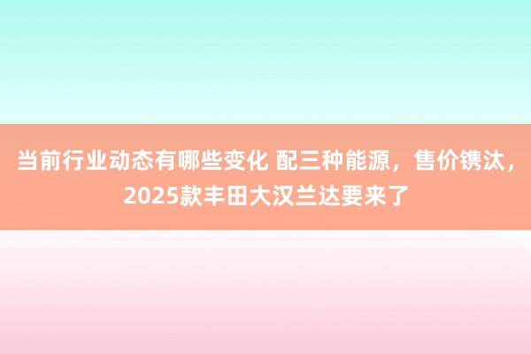 当前行业动态有哪些变化 配三种能源，售价镌汰，2025款丰田大汉兰达要来了