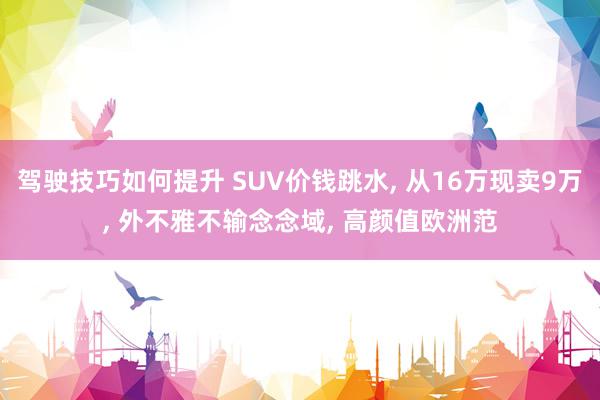 驾驶技巧如何提升 SUV价钱跳水, 从16万现卖9万, 外不雅不输念念域, 高颜值欧洲范