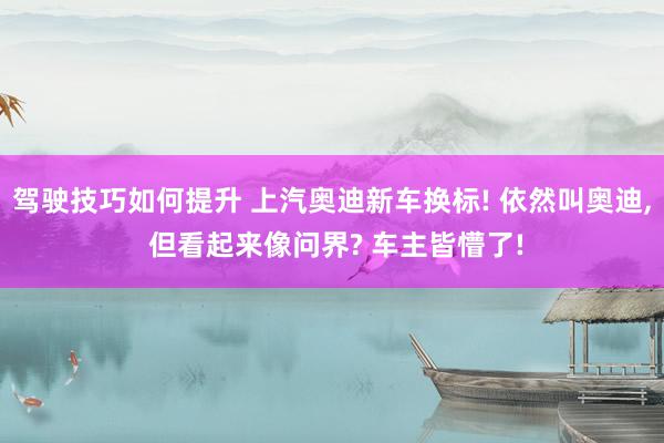 驾驶技巧如何提升 上汽奥迪新车换标! 依然叫奥迪, 但看起来像问界? 车主皆懵了!