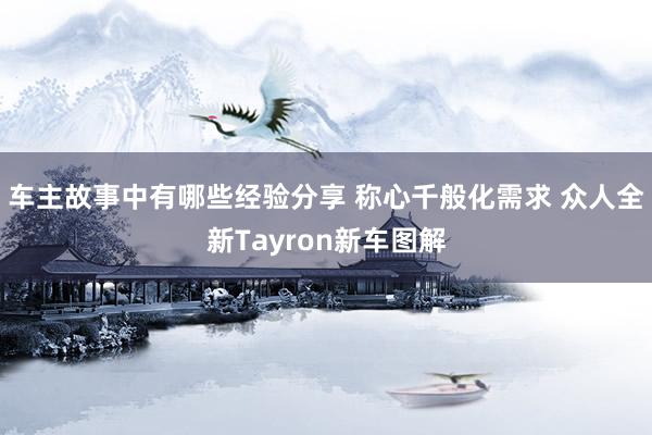 车主故事中有哪些经验分享 称心千般化需求 众人全新Tayro