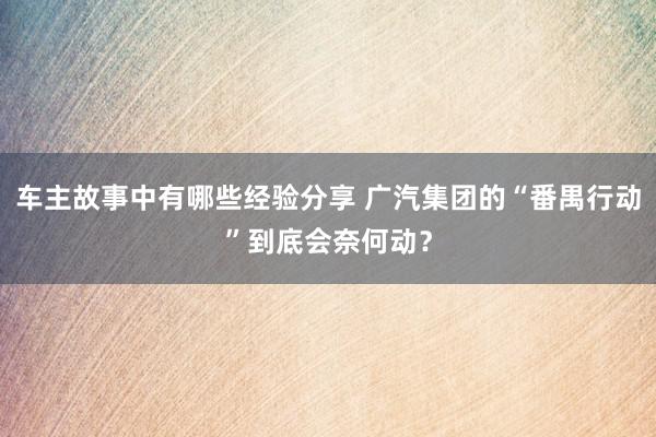 车主故事中有哪些经验分享 广汽集团的“番禺行动”到底会奈何动