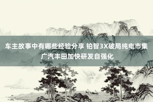 车主故事中有哪些经验分享 铂智3X破局纯电市集 广汽丰田加快研发自强化