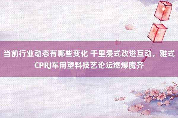 当前行业动态有哪些变化 千里浸式改进互动，雅式CPRJ车用塑料技艺论坛燃爆魔齐