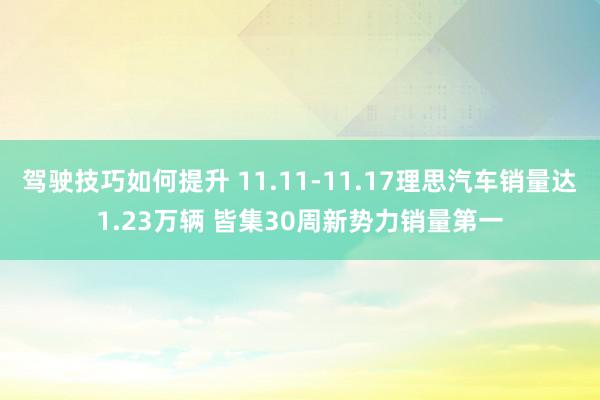 驾驶技巧如何提升 11.11-11.17理思汽车销量达1.23万辆 皆集30周新势力销量第一