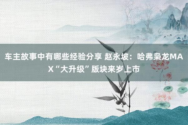 车主故事中有哪些经验分享 赵永坡：哈弗枭龙MAX“大升级”版块来岁上市