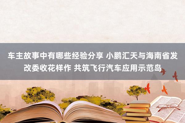 车主故事中有哪些经验分享 小鹏汇天与海南省发改委收花样作 共