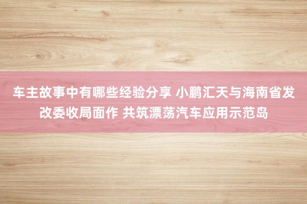 车主故事中有哪些经验分享 小鹏汇天与海南省发改委收局面作 共