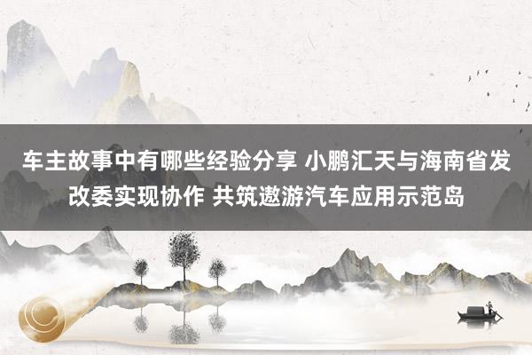 车主故事中有哪些经验分享 小鹏汇天与海南省发改委实现协作 共