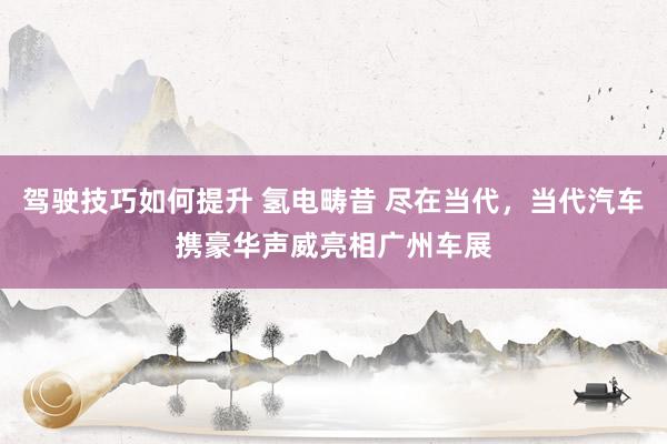 驾驶技巧如何提升 氢电畴昔 尽在当代，当代汽车携豪华声威亮相