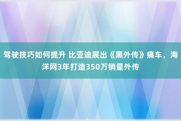 驾驶技巧如何提升 比亚迪展出《黑外传》痛车，海洋网3年打造3