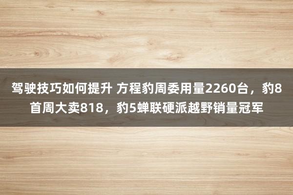 驾驶技巧如何提升 方程豹周委用量2260台，豹8首周大卖81