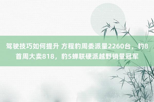 驾驶技巧如何提升 方程豹周委派量2260台，豹8首周大卖81