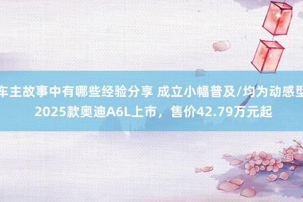 车主故事中有哪些经验分享 成立小幅普及/均为动感型 2025