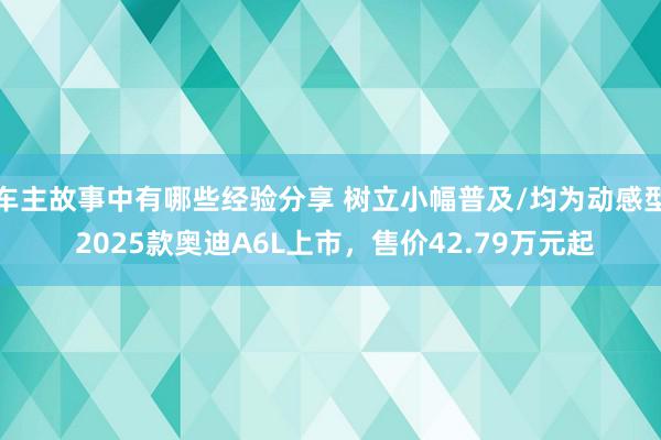 车主故事中有哪些经验分享 树立小幅普及/均为动感型 2025