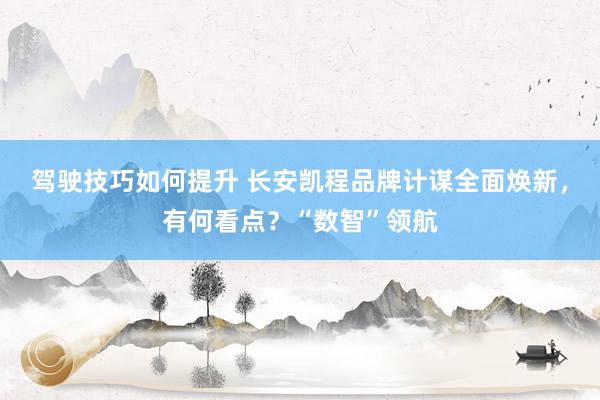 驾驶技巧如何提升 长安凯程品牌计谋全面焕新，有何看点？“数智